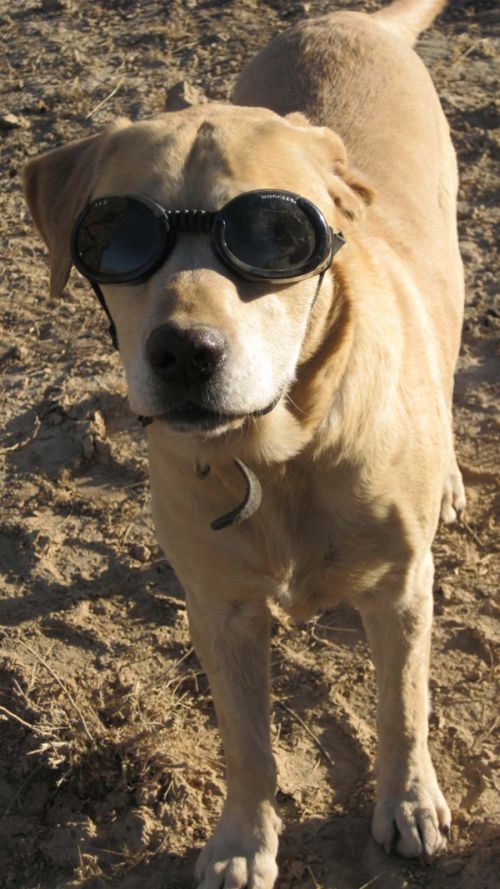 Acid Picdump (109 pics)