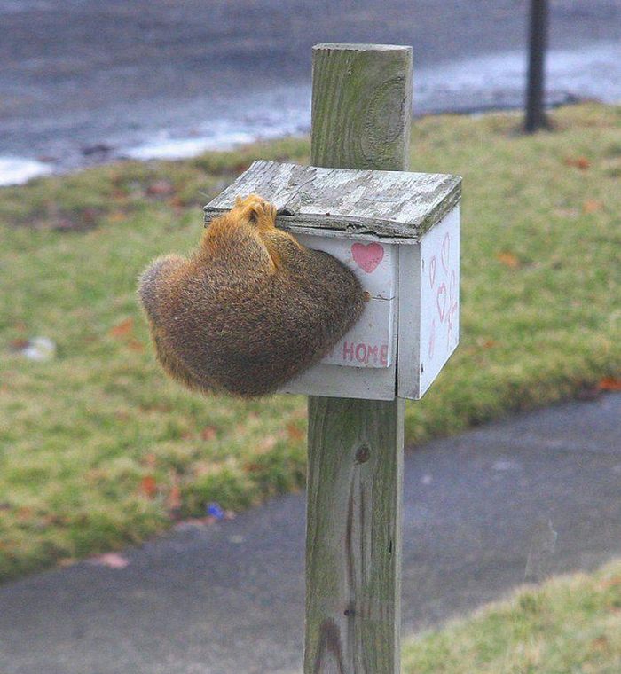 Acid Picdump (109 pics)