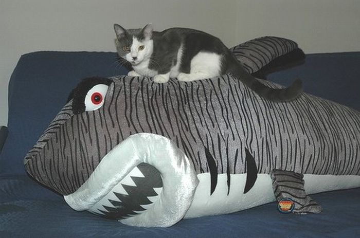 Acid Picdump (109 pics)