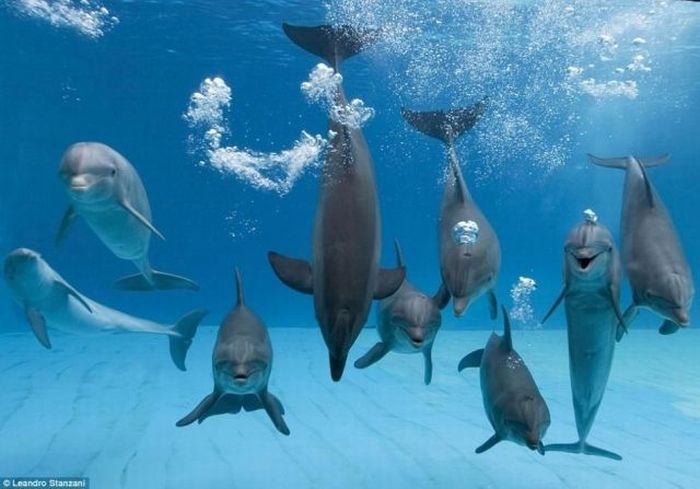 Acid Picdump (109 pics)