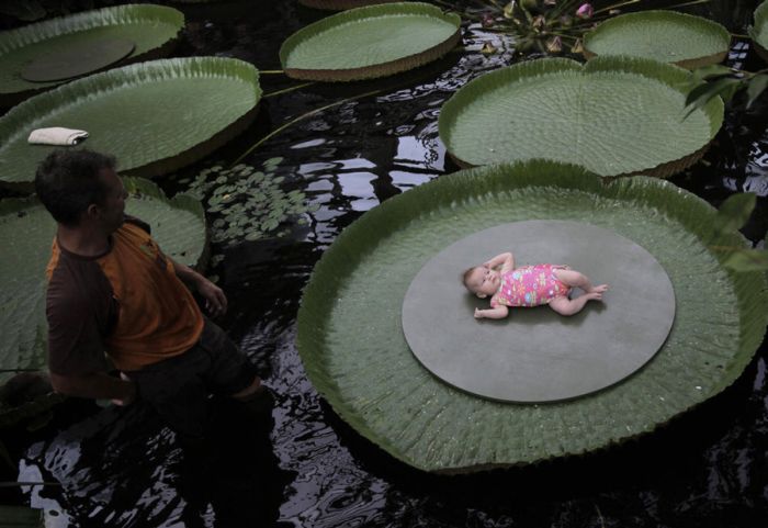 Acid Picdump (109 pics)