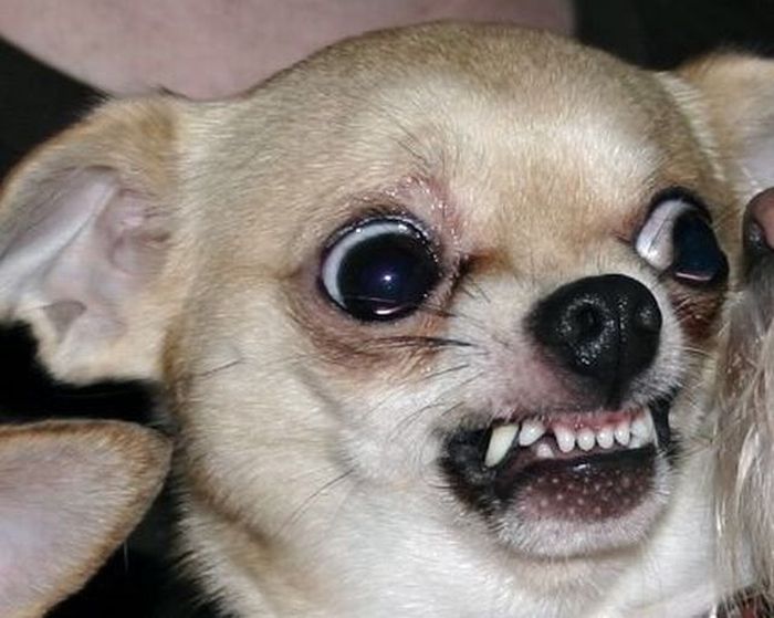 Acid Picdump (109 pics)