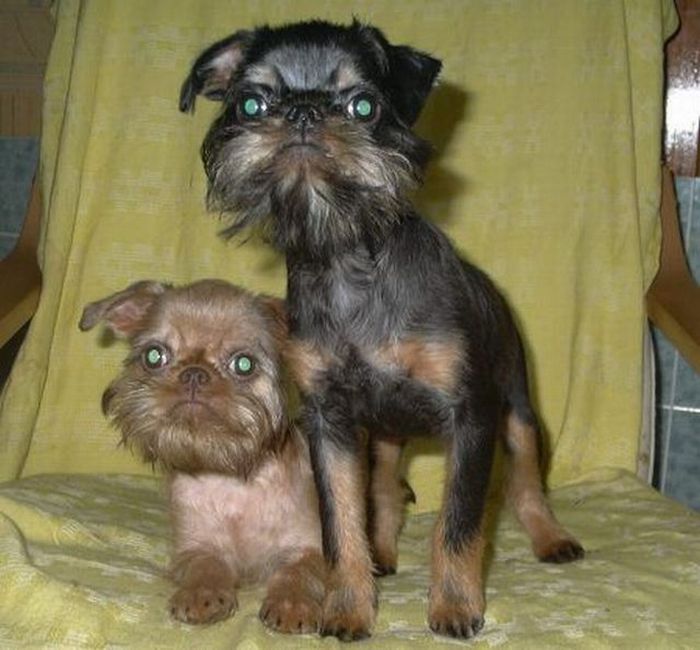 Acid Picdump (109 pics)