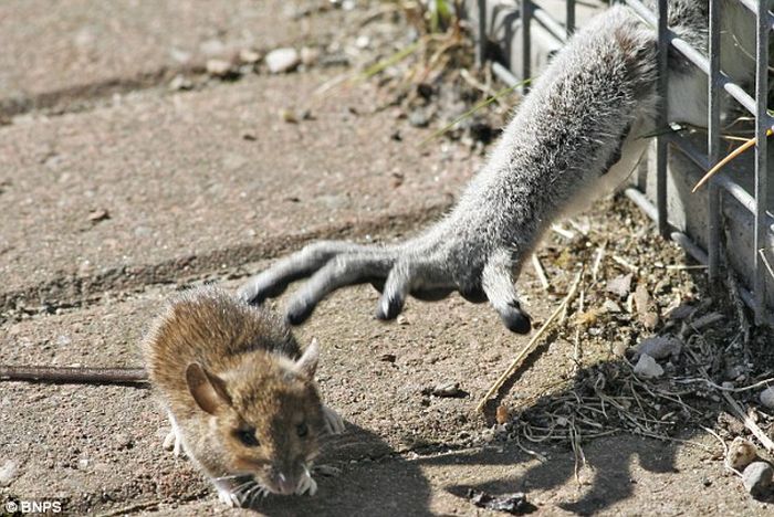 Acid Picdump (109 pics)