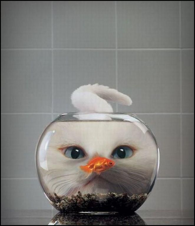 Acid Picdump (109 pics)