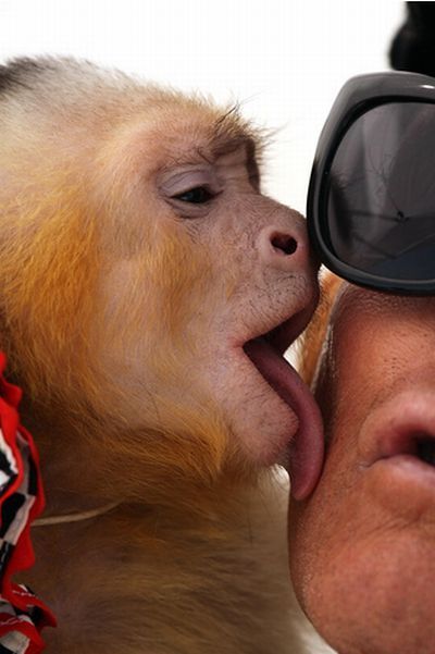 Acid Picdump (109 pics)