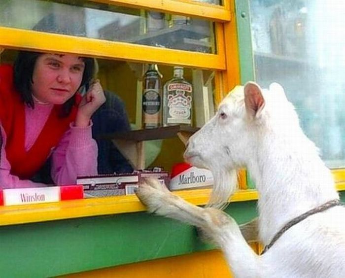 Acid Picdump (109 pics)