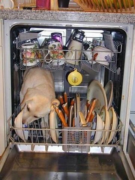 Acid Picdump (109 pics)