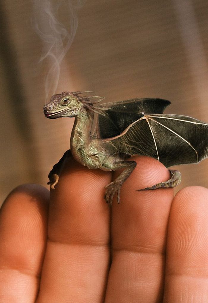 Photo manipulation (52 pics)