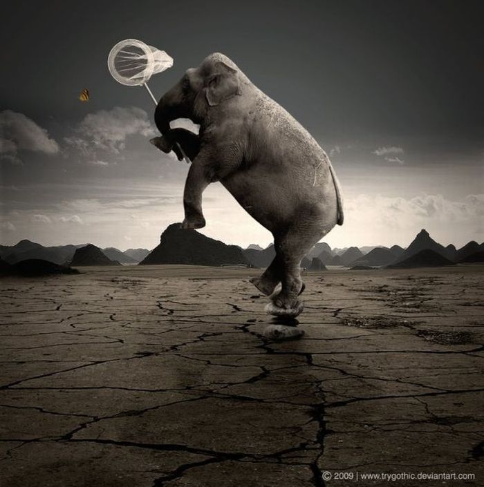 Photo manipulation (52 pics)