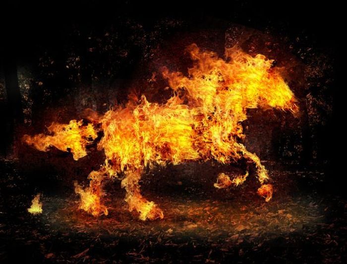 Photo manipulation (52 pics)