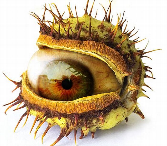 Photo manipulation (52 pics)