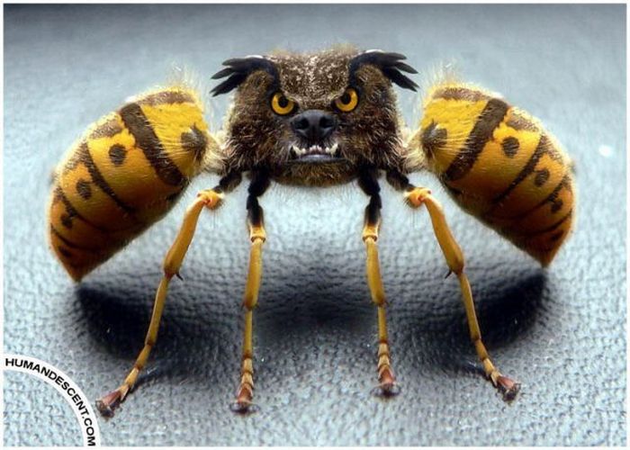 Photo manipulation (52 pics)