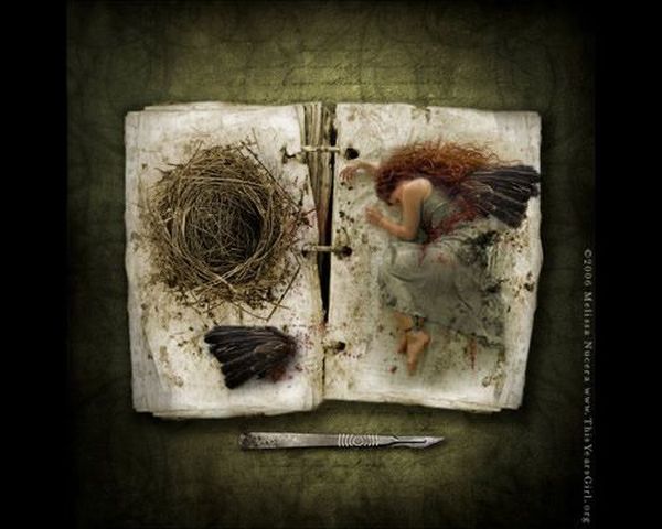 Photo manipulation (52 pics)