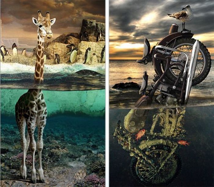 Photo manipulation (52 pics)