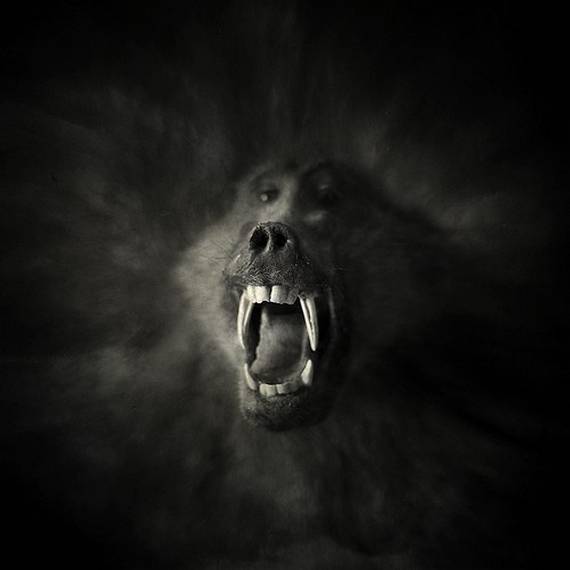 Psycho Photos (95 pics)