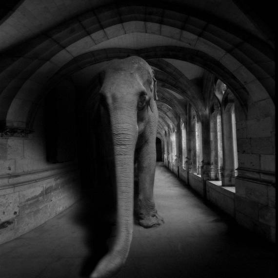 Psycho Photos (95 pics)