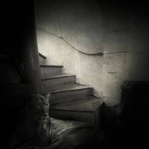 Psycho Photos (95 pics)