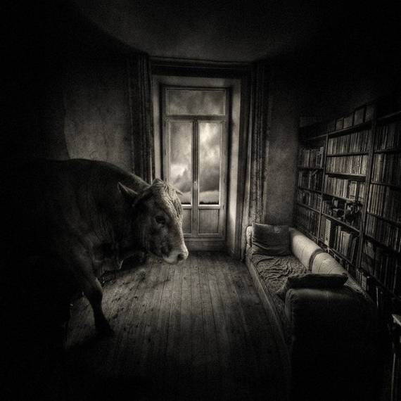 Psycho Photos (95 pics)