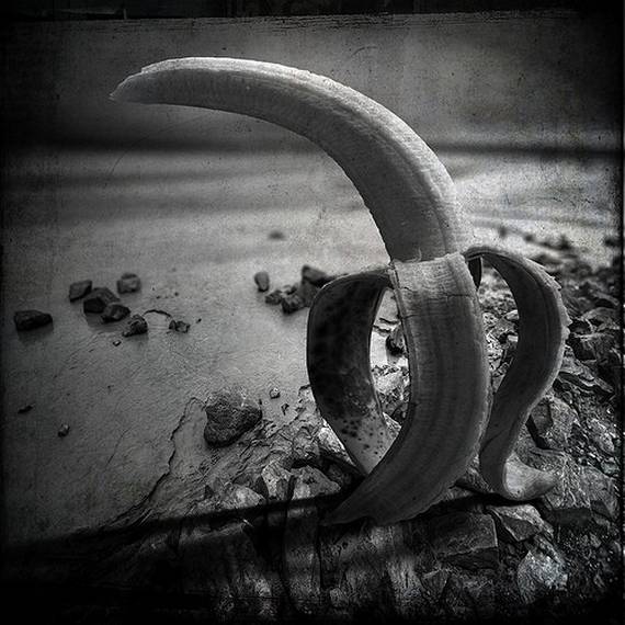 Psycho Photos (95 pics)