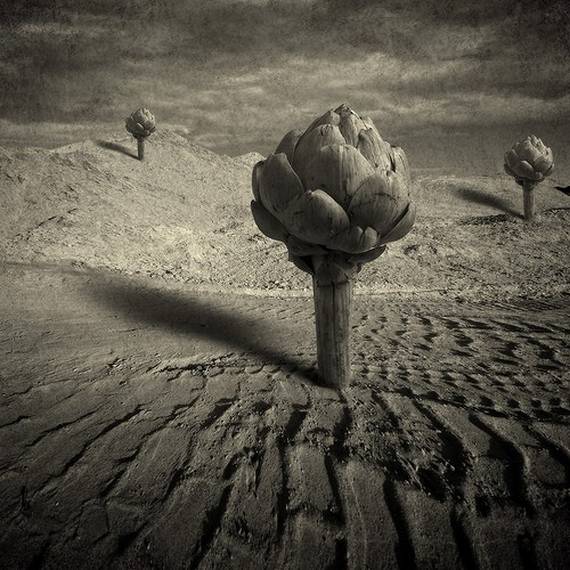 Psycho Photos (95 pics)