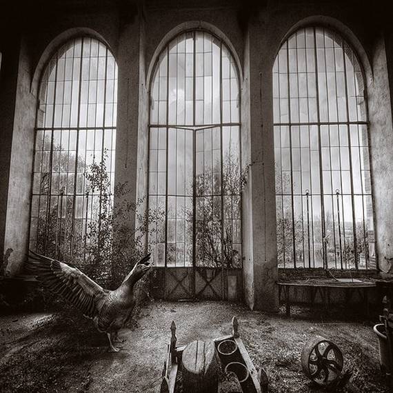 Psycho Photos (95 pics)
