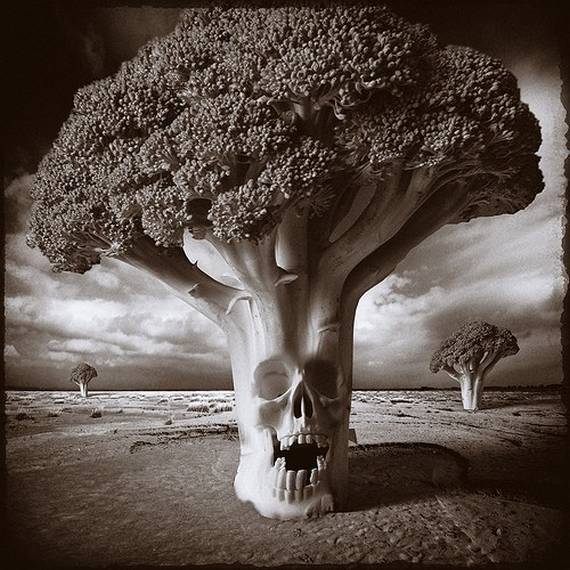 Psycho Photos (95 pics)
