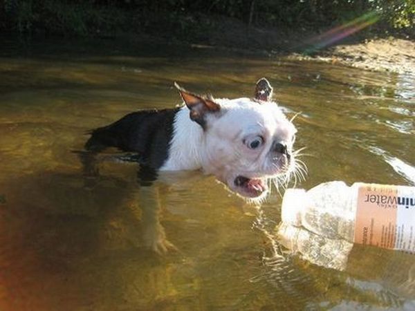Acid Picdump (133 pics)