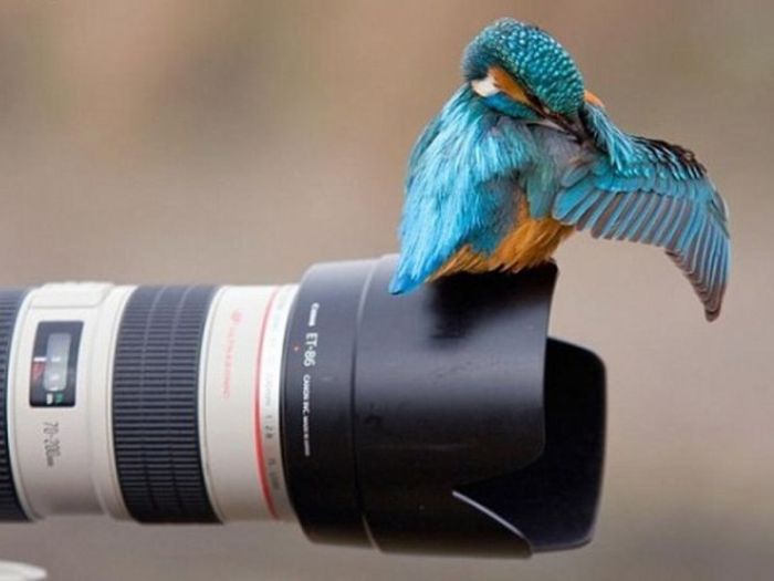 Acid Picdump (133 pics)