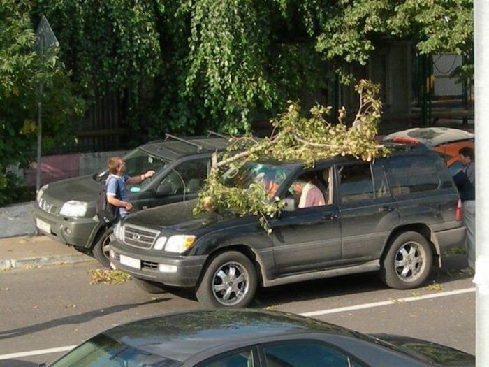Acid Picdump (133 pics)