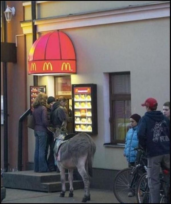 Acid Picdump (133 pics)