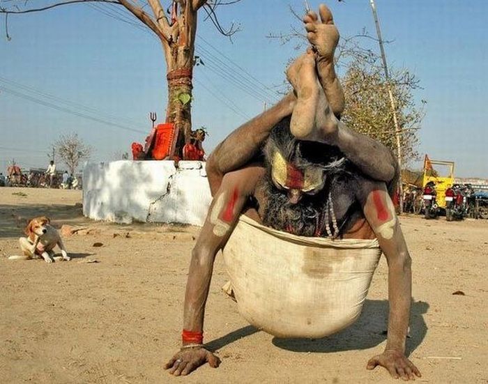 Acid Picdump (133 pics)