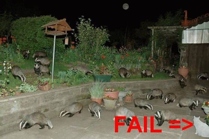 Acid Picdump (133 pics)