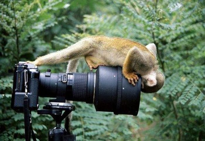 Acid Picdump (133 pics)