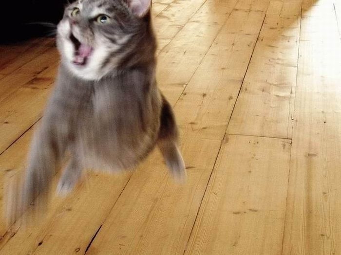 Acid Picdump (133 pics)