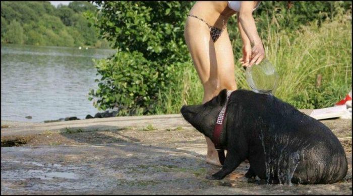 Acid Picdump (133 pics)