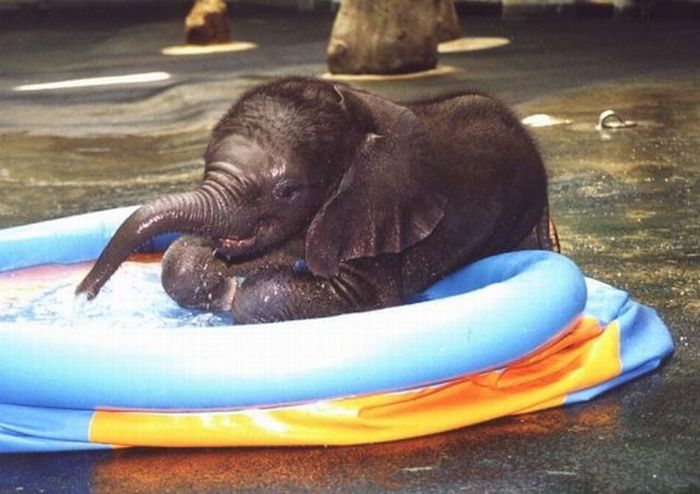 Acid Picdump (133 pics)