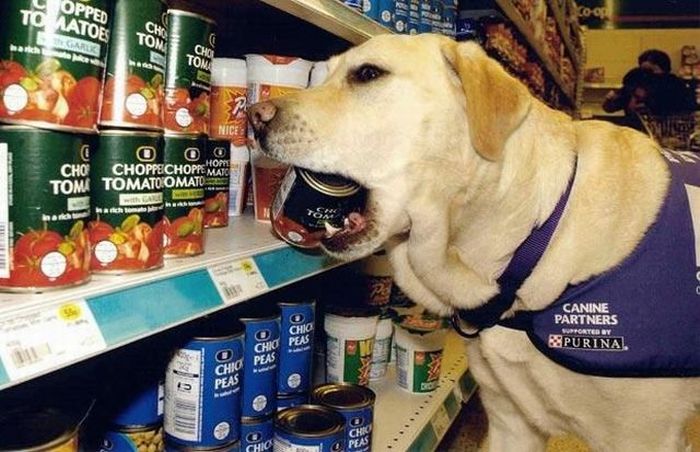 Acid Picdump (133 pics)