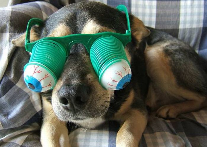 Acid Picdump (133 pics)