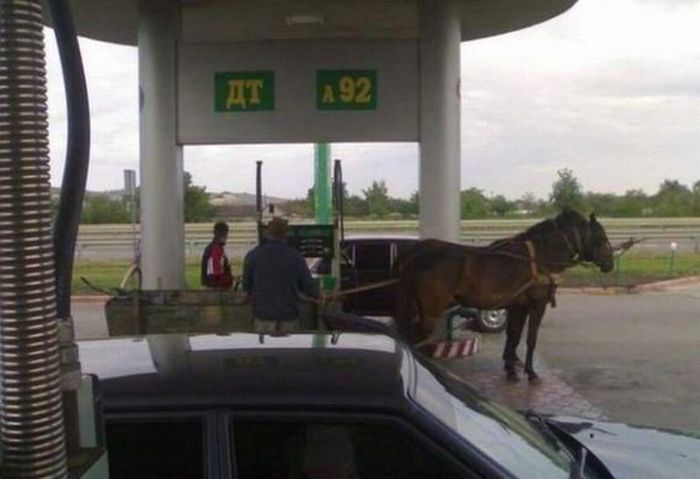 Acid Picdump (133 pics)