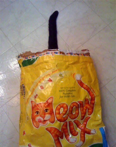 Acid Picdump (133 pics)