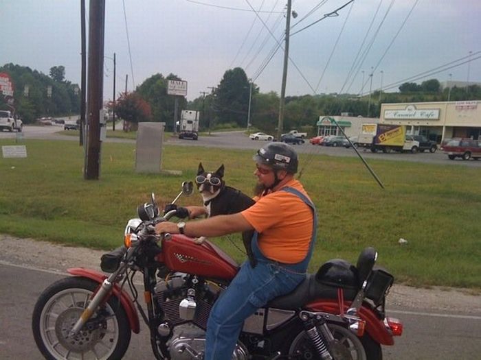 Acid Picdump (133 pics)