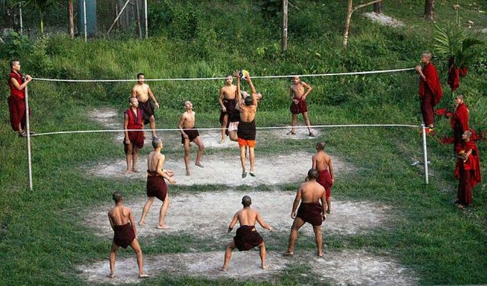 Acid Picdump (133 pics)