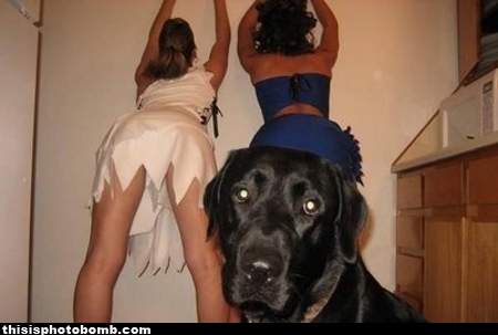 Photobombs (78 pics)