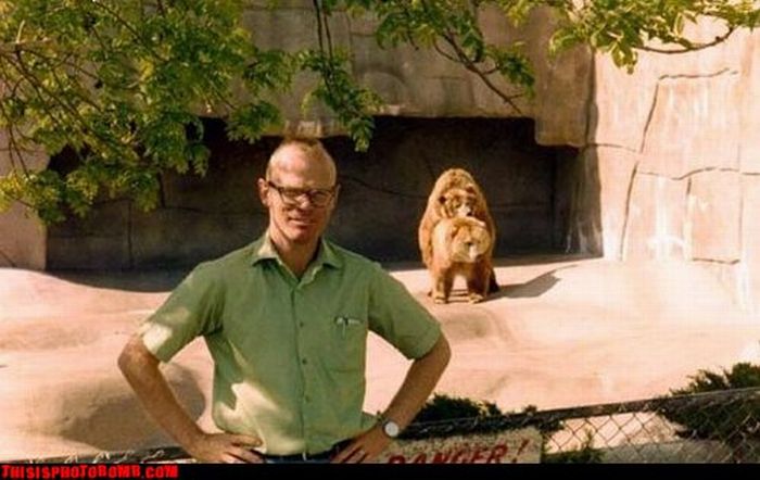 Photobombs (78 pics)
