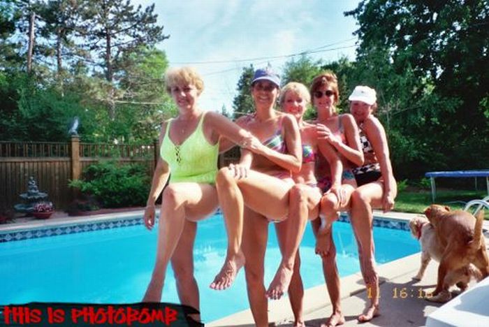 Photobombs (78 pics)