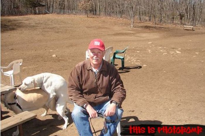 Photobombs (78 pics)