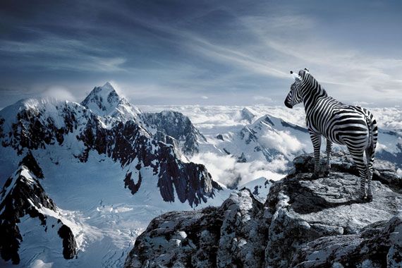 Photo Manipulation. Part II (64 pics)