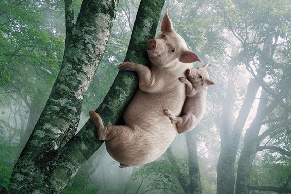 Photo Manipulation. Part II (64 pics)