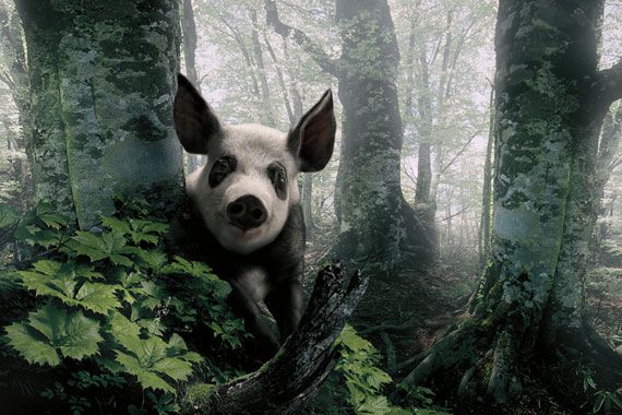 Photo Manipulation. Part II (64 pics)